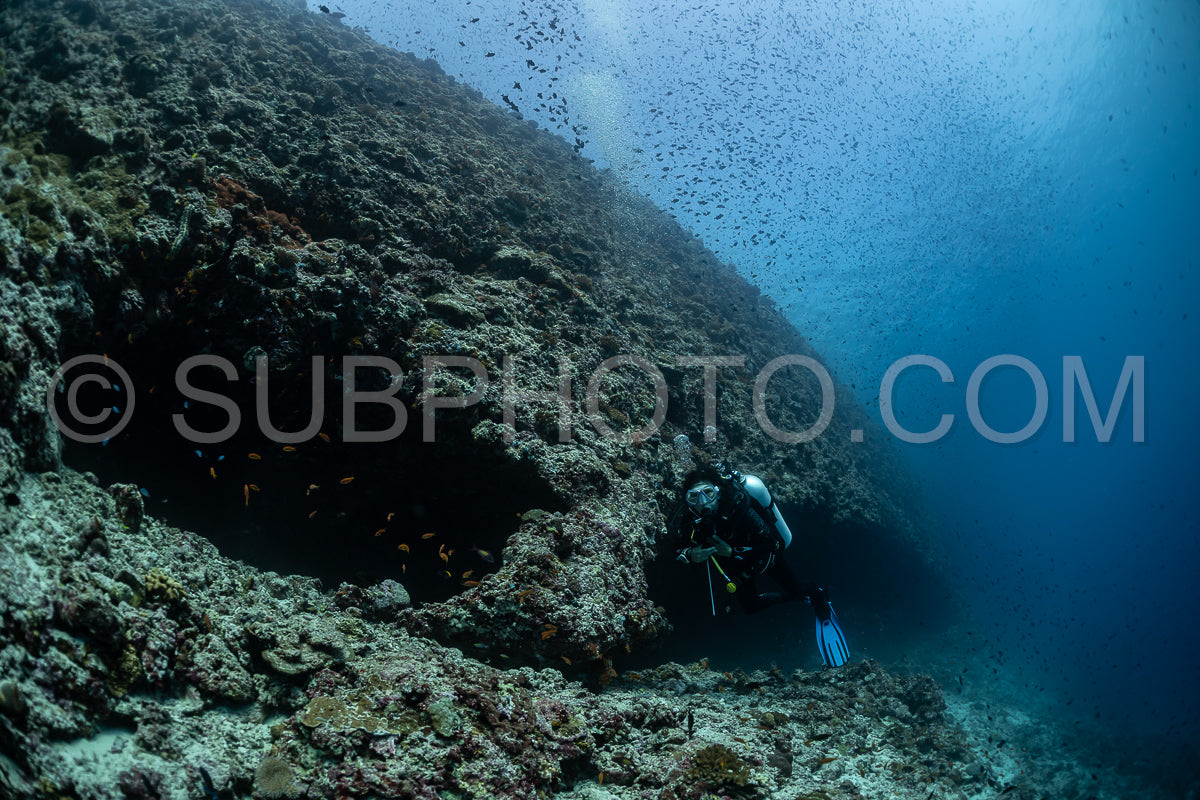 Diver discovering the beauty of the Maldivian coral reefs with abundant life
