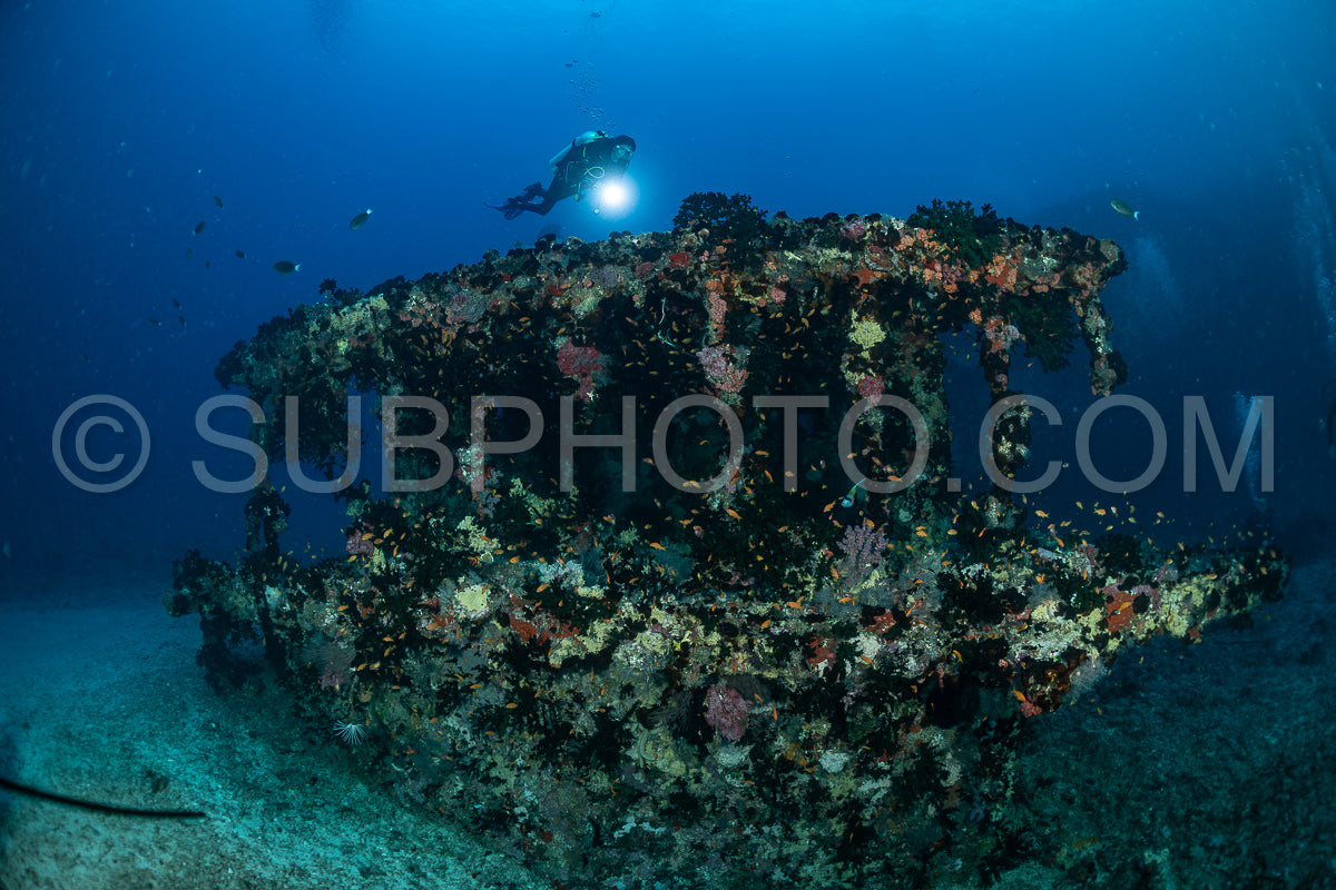 diver over a ship wreck in the Maldives
