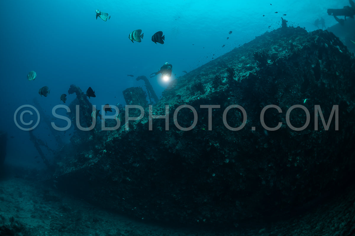 diver over a ship wreck in the Maldives