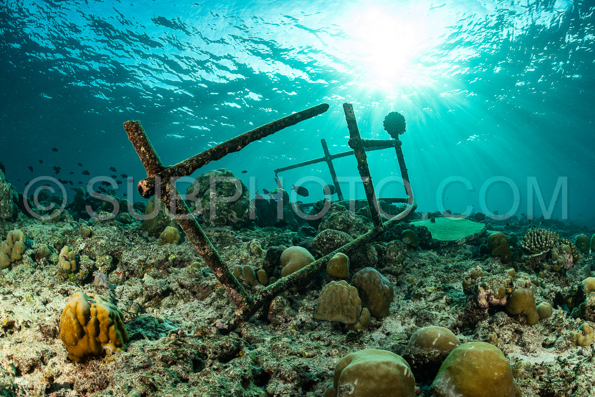 diver over a ship wreck in the Maldives