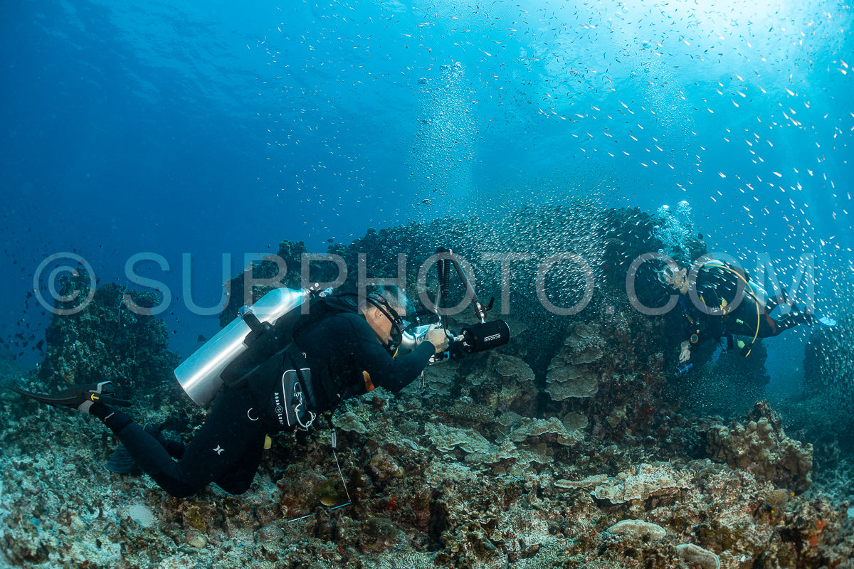 Maldivesfriends2023