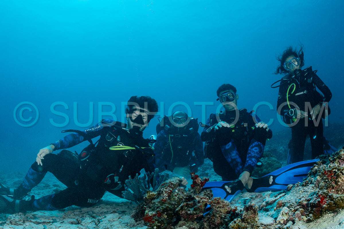 Maldivesfriends2023