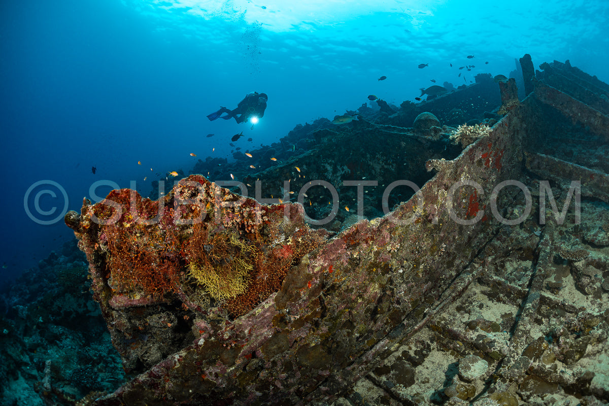 diver over a ship wreck in the Maldives