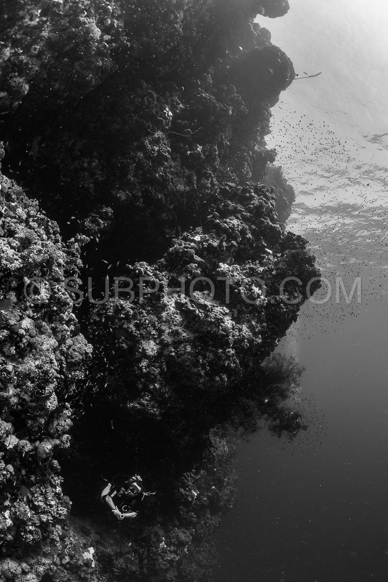 Photo de Elbafriends2023