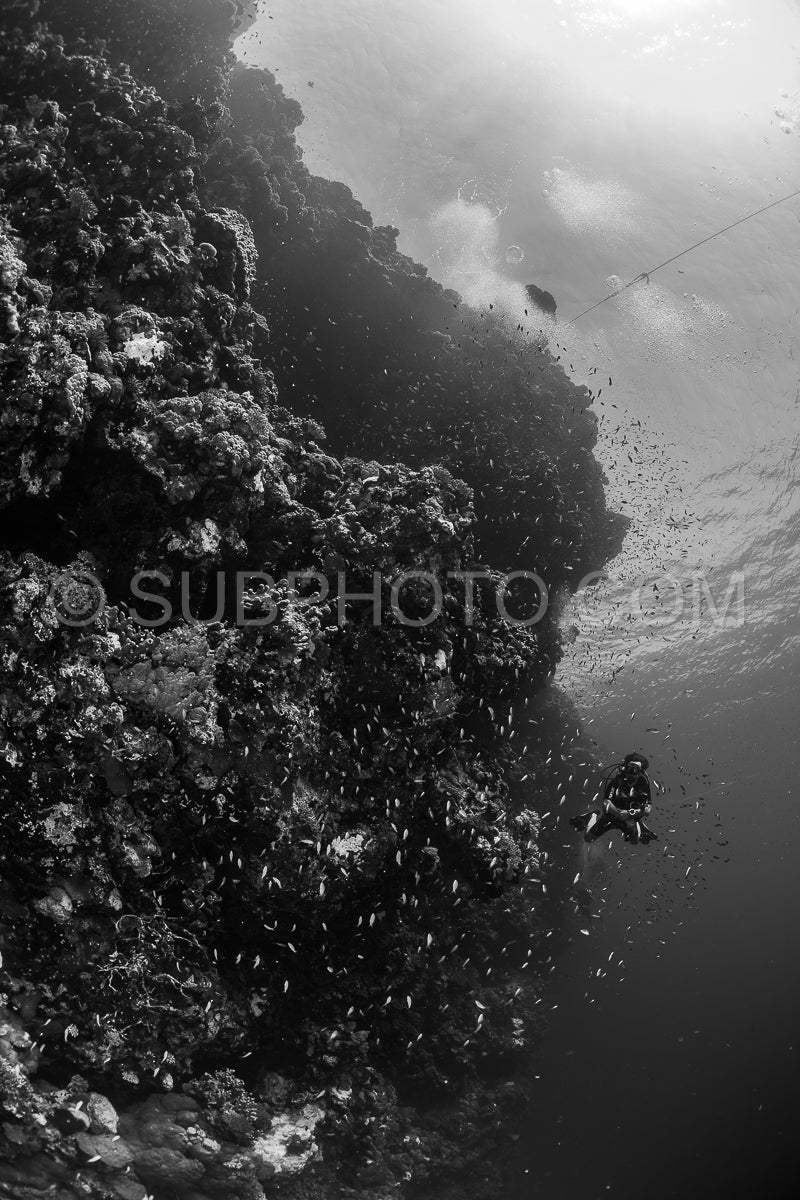 Photo de Elbafriends2023