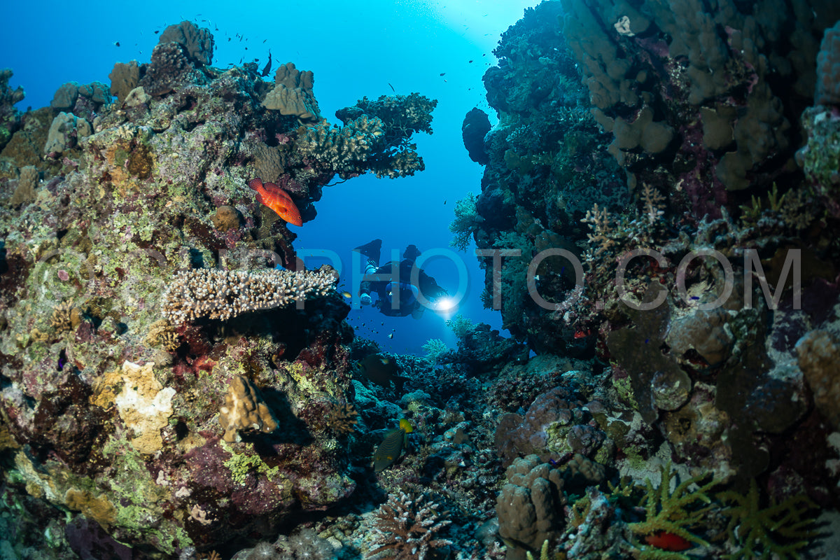 Photo de Elbafriends2023