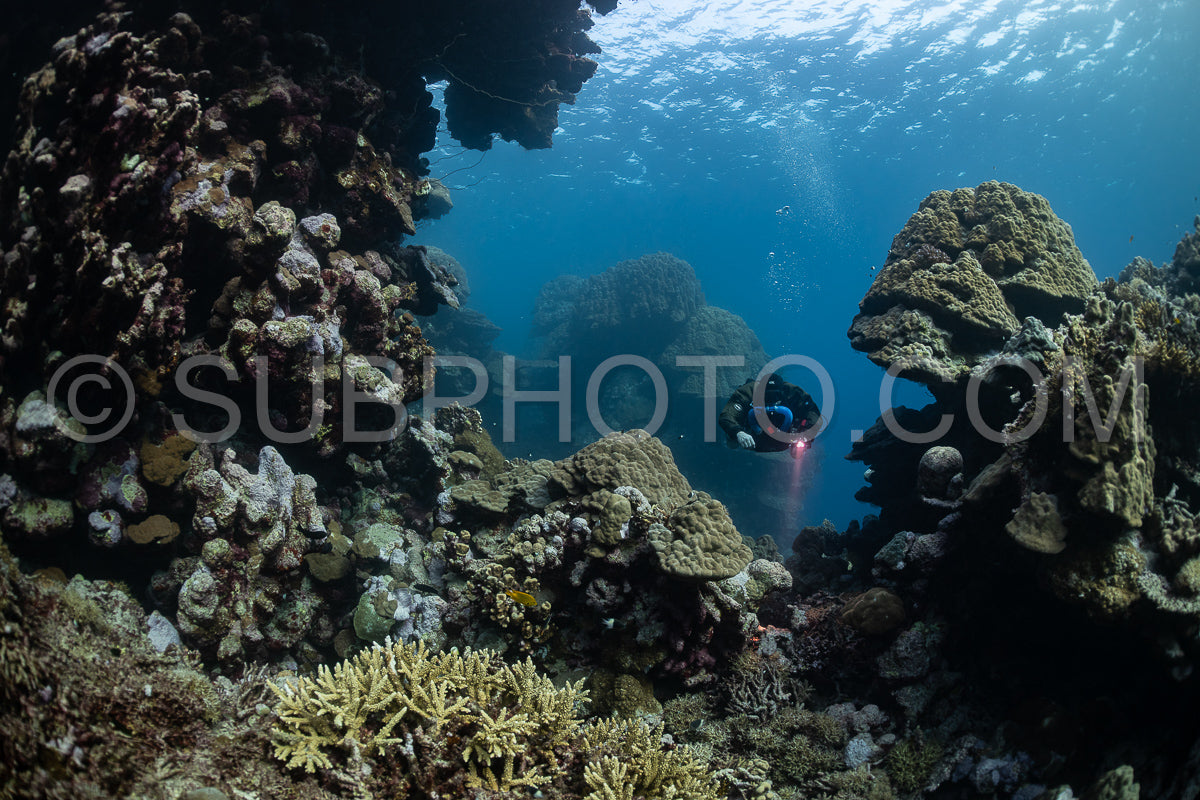 Tek diver using a rebreather discovering the majesty of coral structures in the Red Sea