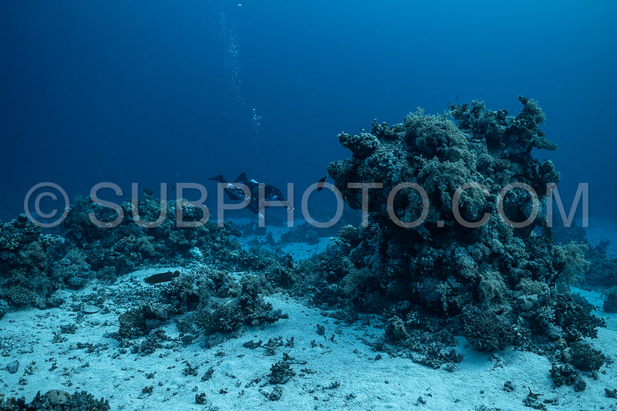 Tek diver using a rebreather discovering the majesty of coral structures in the Red Sea