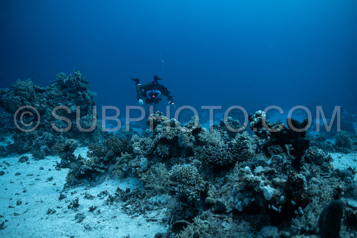 Tek diver using a rebreather discovering the majesty of coral structures in the Red Sea
