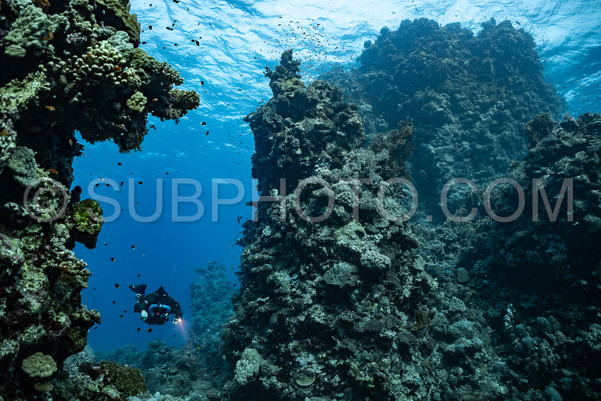 Tek diver using a rebreather discovering the majesty of coral structures in the Red Sea
