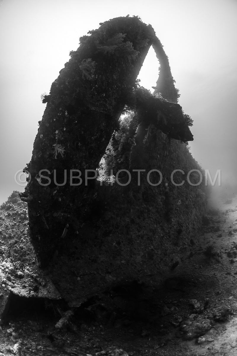 A close-up of a sunken ship in the Red Sea. The ship is covered in marine life and rust- with an opening in the hull revealing the sunlit water beyond.