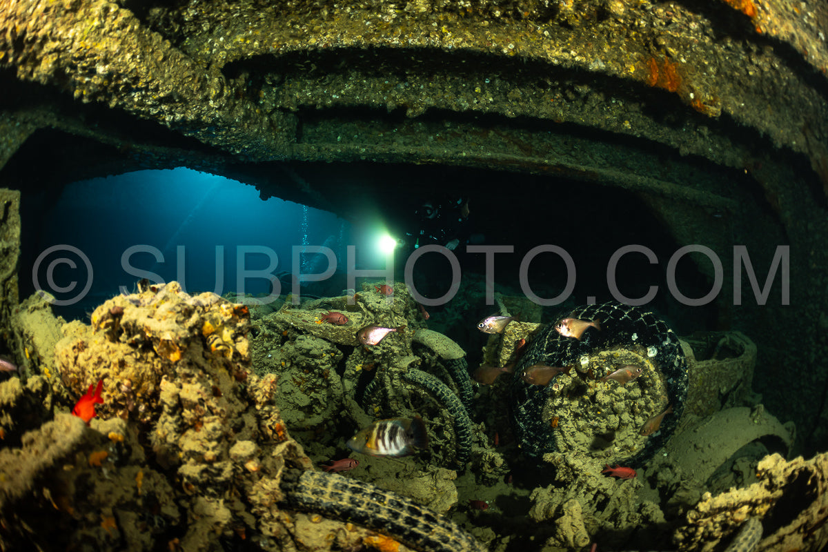 A diver is seen exploring the interior of a sunken ship in the Red Sea- using a rebreather. The diver's light illuminates the ship's interior- which is covered in marine growth.
