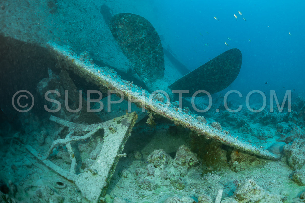 The image shows the propeller of a sunken ship- covered in marine life. The ship's hull is visible in the background- with the blue water of the Red Sea above.