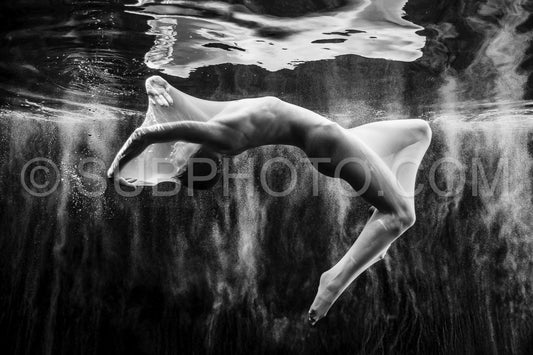 Entre-Ombres-Et-Lumieres-15