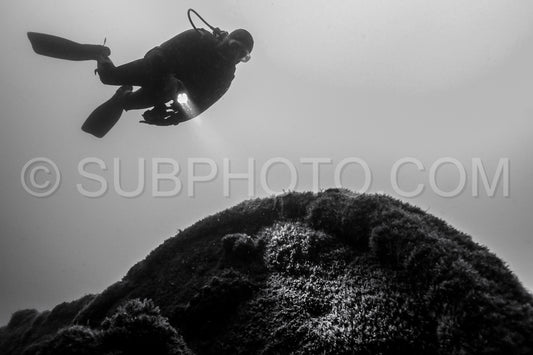 Diver in front of the Ville de Rochefort wreck in Brittany