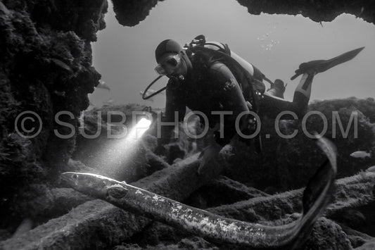 Diver in front of the Ville de Rochefort wreck in Brittany