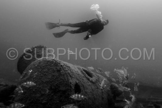 Diver in front of the Ville de Rochefort wreck in Brittany