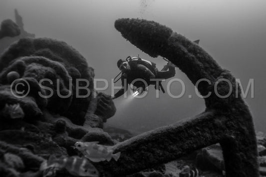 Diver in front of the Ville de Rochefort wreck in Brittany