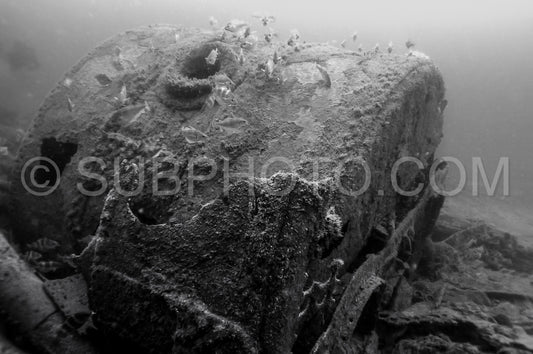 Diver in front of the Ville de Rochefort wreck in Brittany