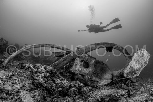 Photo de Plongeur sous-marin sur les os d'un cachalot en Indonésie à faible profondeur en noir et blanc