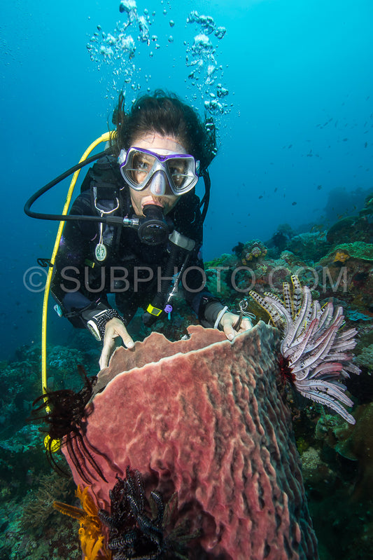 woman scuba diving on a tropical reef