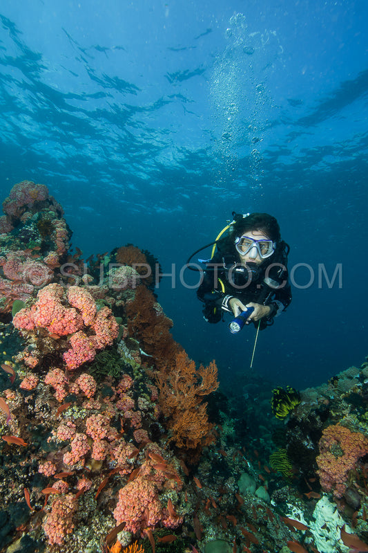 woman scuba diving on a tropical reef in the Philippines