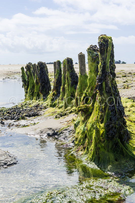 Le grand Traict- low tide- Le Croisic- Bretagne- France
