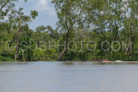 Wooden boat cruising Berau river- Borneo- Kalimantnan- Indonesia
