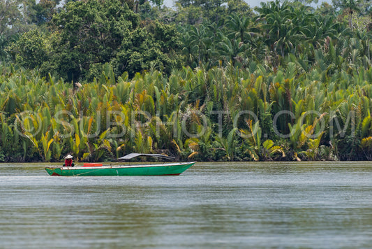 Wooden boat cruising Berau river- Borneo- Kalimantnan- Indonesia