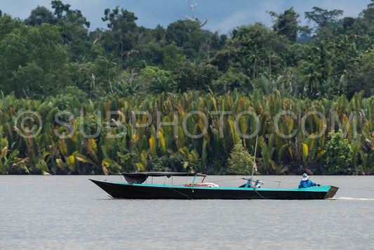 Wooden boat cruising Berau river- Borneo- Kalimantnan- Indonesia