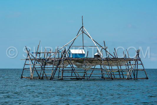 Traditional fishing structure built with bamboo called Bagang- Berau- Kalimantan- Borneo- Indonesia- Asia