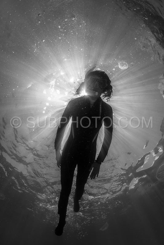 woman snorkeling with Martigias Papua Jellyfish- Jellyfish Lake- Kakaban- Indonesia