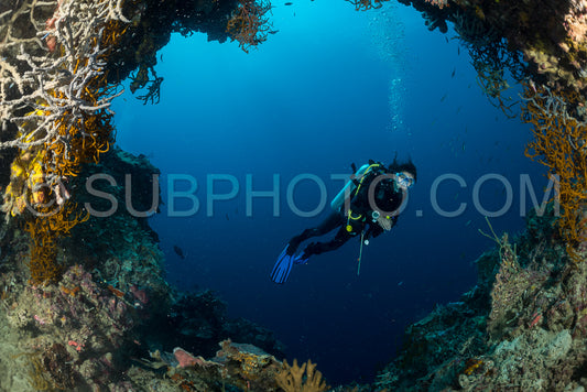 Photo de éventail de mer sur la pente d'un récif corallien avec un plongeur en profondeur