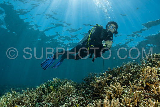 diver over a shallow coral reef with sun rays