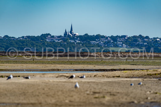 Photo de Collégiale Saint-Aubin de Guérande vue de la mer