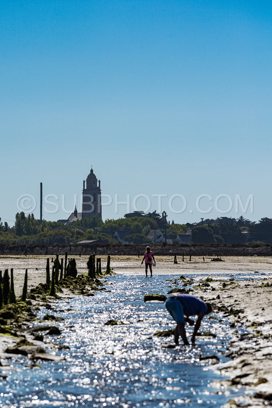 Man harvesting shells at low tide in front of Batz church in the morning