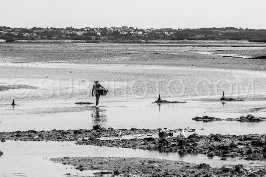 Woman harvesting shells at low tide in front of Guerande in the morning
