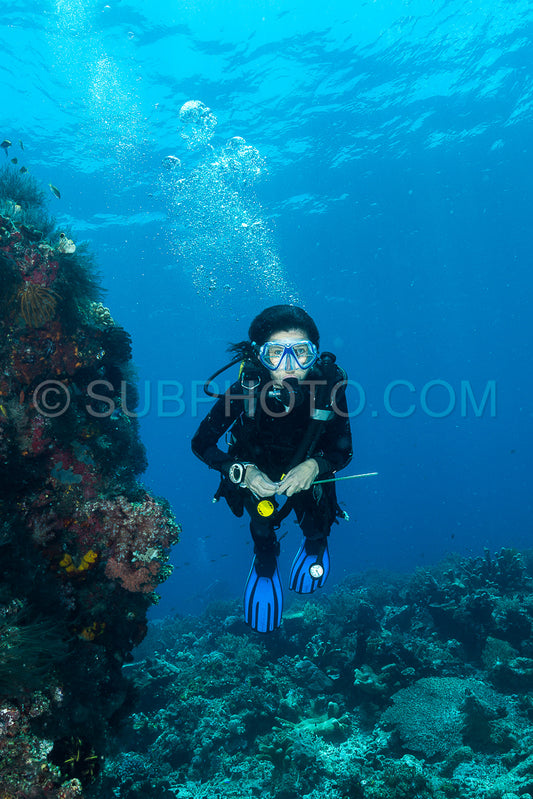 woman diver underwater over a colorful tropical reef with sea fan- coral and sponge in Rajat Ampat- Indonesia