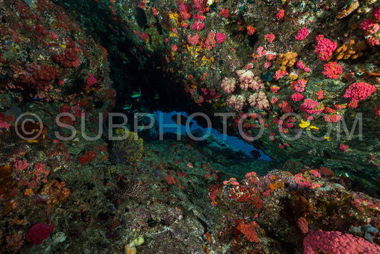 opening crack cave in a colorful coral reef with fish