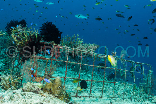man-made artificial reef with metal struture and concrete to help marine life to recover destroyed area