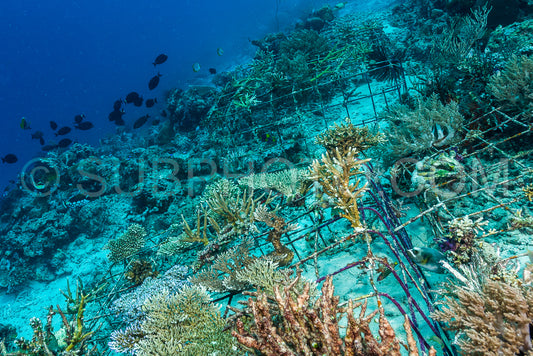 man-made artificial reef with metal struture and concrete to help marine life to recover destroyed area