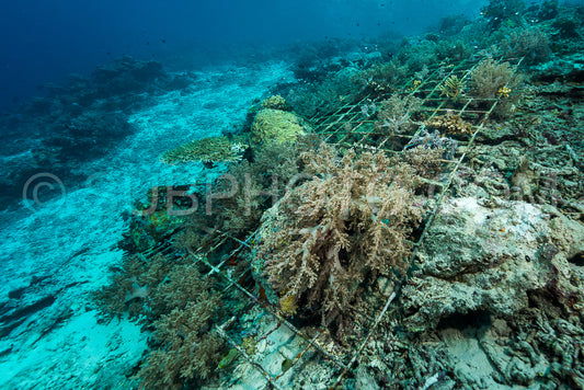 man-made artificial reef with metal struture and concrete to help marine life to recover destroyed area
