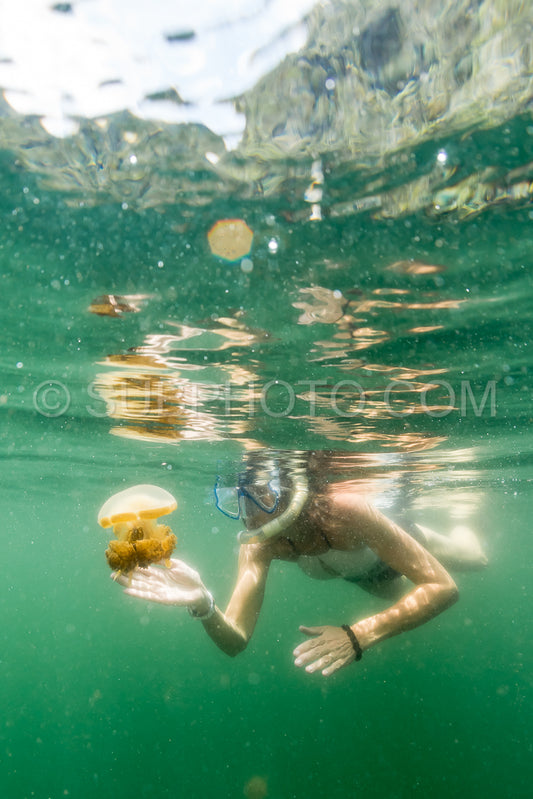 woman snorkeling with Martigias Papua Jellyfish Jellyfish lake Misool Indonesia