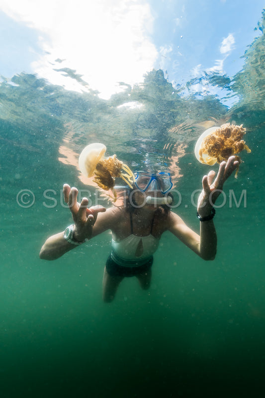 woman snorkeling with Martigias Papua Jellyfish Jellyfish lake Misool Indonesia