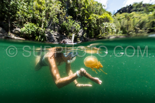 woman snorkeling with Martigias Papua Jellyfish Jellyfish lake Misool Indonesia