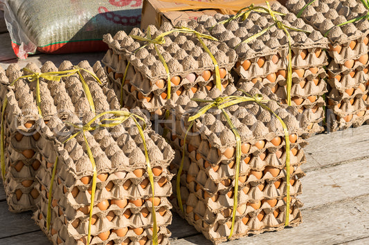 Photo de œufs dans le village de Polle - île de Misool - Raja Ampat - Indonésie