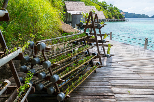 diving resort in the Raja Ampat- Indonesia