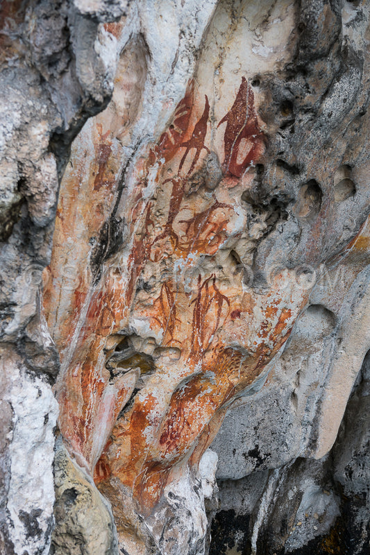 Prehistoric petroglyph rock paintings in Misool- Raja Ampat- West Papua- Indonesia by aborigines- 3-000 to 5-000 years ago
