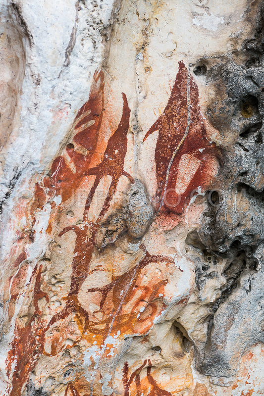 Prehistoric petroglyph rock paintings in Misool- Raja Ampat- West Papua- Indonesia by aborigines- 3-000 to 5-000 years ago