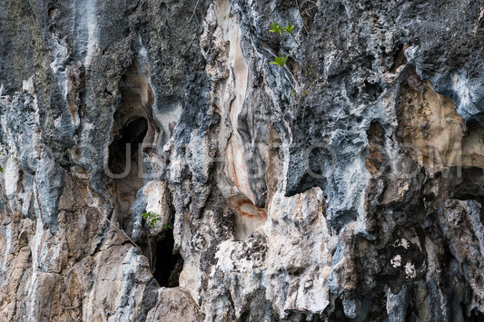 Prehistoric petroglyph rock paintings in Misool- Raja Ampat- West Papua- Indonesia by aborigines- 3-000 to 5-000 years ago